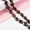 Natural Dragon Blood Beads Strands G-L242-12-2