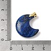 Dyed Natural Lapis Lazuli Pendants G-A297-02G-07-3