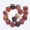 Carved Natural Carnelian Beads Strands G-T122-08E-2