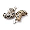 Natural Dalmatian Jasper Pendants G-F820-02L-16-3