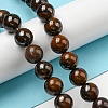Natural Yellow Tiger Iron Beads Strands G-C079-A03-03-2