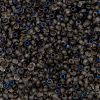 MIYUKI Round Rocailles Beads X-SEED-G008-RR4556-4