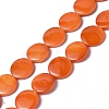 Spray Painted Natural Freshwater Shell Beads Strands SHEL-C003-05-2