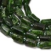 Natural Green Diopsidel Beads Strands GG-CBAA9B4-I02-3