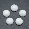 Natural Howlite Cabochons G-P393-R32-8MM-1