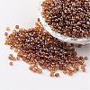 Round Glass Seed Beads X-SEED-A006-3mm-102C-1