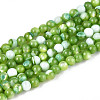 Dyed Natural Trochid Shell/Trochus Shell Beads Strands SSHEL-T017-13C-1