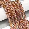 Frosted Transparent Glass Bead Strands GLAA-P065-10mm-13-1
