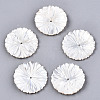 Natural White Shell Mother of Pearl Shell Beads SSHEL-N032-19-1