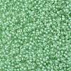 TOHO 11/0 Round Beads X-SEED-TR11-0975-2
