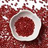 Glass Seed Beads SEED-H002-C-A051-2