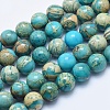 Natural Aqua Terra Jasper Beads Strands G-E444-14A-12mm-1
