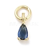Brass Micro Pave Cubic Zirconia Charms KK-H527-13G-02-1