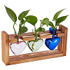 Heart Glass Vase AJEW-WH0777-010-1