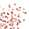 Natural Red Agate Beads G-CJ0001-16-6
