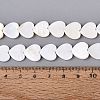Natural Freshwater Shell Beads Strands SHEL-S276-87-4