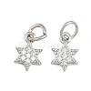 Brass Micro Pave Cubic Zirconia Pendants ZIRC-K070-41P-1