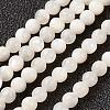 Natural White Shell Beads Strands G-G680-54-1