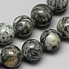 Natural Black Silk Stone/Netstone Bead Strands G-Q948-75-1