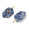Natural Blue Spot Jasper Pendants KK-CBAF9BC-20G-04-2