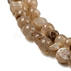 Natural White Shell Dyed Beads Strands BSHE-Z005-03A-3