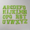 Towel Embroidery Style Cloth Iron on/Sew on Patches PATC-WH0009-34B-1
