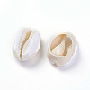 Cowrie Shell Beads X-BSHE-G019-02F-2