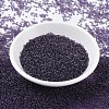 MIYUKI Round Rocailles Beads SEED-JP0008-RR0157-2