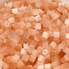 Glass Seed Beads SEED-H002-D-A807-3
