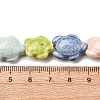 Handmade Porcelain Beads Strands LAMP-G140-02P-3