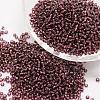 6/0 Transparent Glass Round Seed Beads SEED-J010-F6-57-1