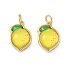 Brass Resin Pendants KK-C110-24F-G-1