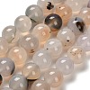 Natural Agate Beads Strands G-G175-A01-01-2