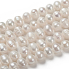 Natural Cultured Freshwater Pearl Beads Strands PEAR-N013-07C-4