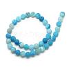 Natural Weathered Agate Bead Strands G-S237-10mm-04-2