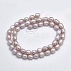 Natural Cultured Freshwater Pearl Beads Strands PEAR-F007-71B-2