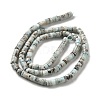 Natural Larimar Beads Strands G-Q024-B03-01-3