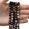 Natural Petrified Wood Beads Strands G-Z119-A21-02-2