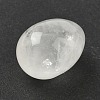 Natural Quartz Crystal Egg Shape Display Decorations G-Z094-01H-2