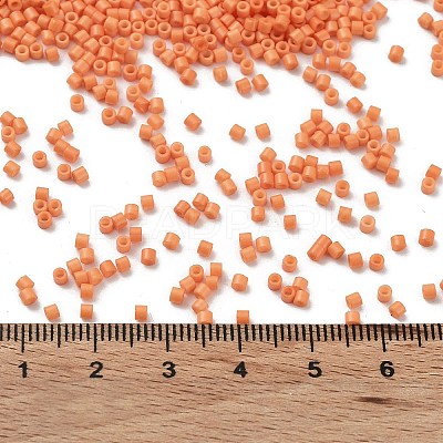 Baking Paint Glass Seed Beads X-SEED-S042-05B-83-1