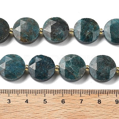 Natural Apatite Beads Strands G-C116-A159-03-1