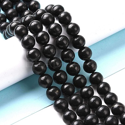 Natural Shungite Beads Strands G-D481-15B-1