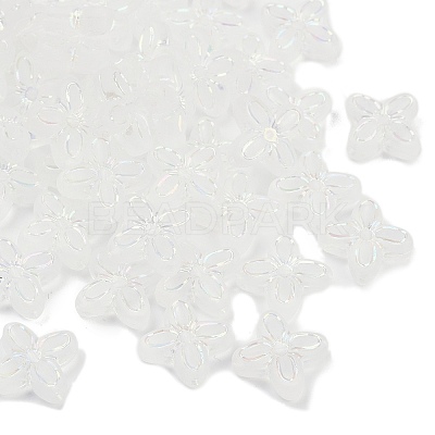 Frosted Transparent Acrylic Beads X1-OACR-P029-09B-05-1