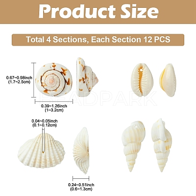 48Pcs 4 Styles Natural Shell Beads BSHE-YW0001-06-1