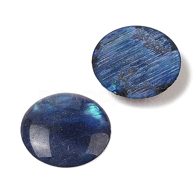 Natural Abalone Shell/Paua Shell Resin Cabochons X-SSHEL-K003-10MM-03-1