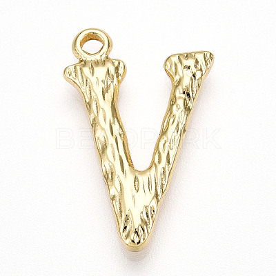 304 Stainless Steel Pendants STAS-N117-01G-V-1