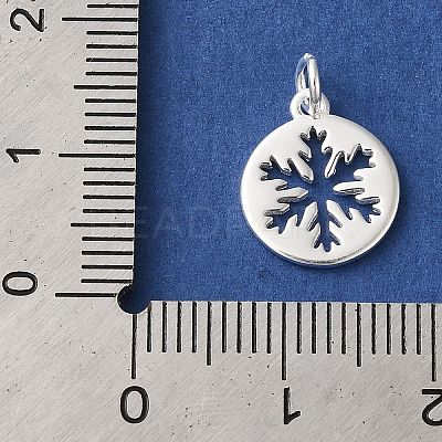 925 Sterling Silver Charms STER-M120-01E-S-1