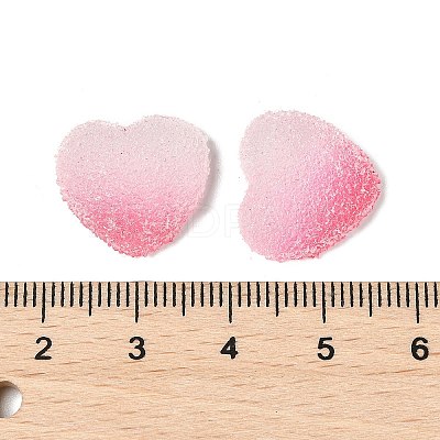 Imitation Candy Food Style Resin Cabochons RESI-R461-01G-1