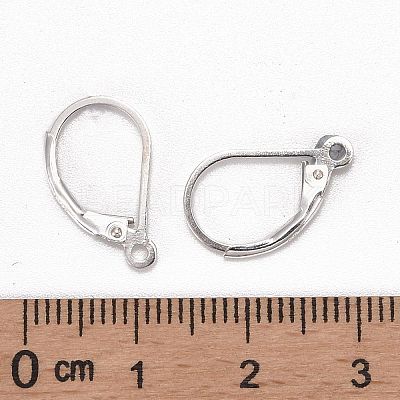 925 Sterling Silver Leverback Earrings LS-STER-S002-56-1