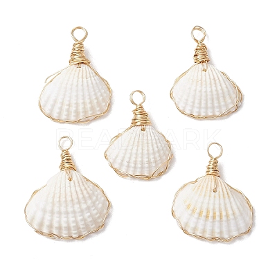 Copper Wire Wrapped Natural Shell Pendants PALLOY-JF03494-1